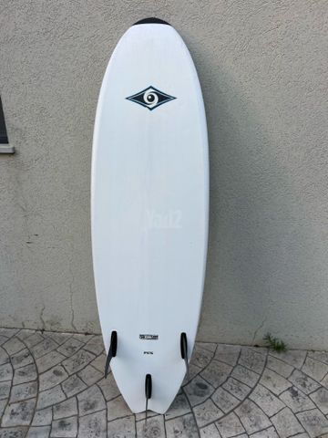 גלשן Peter Pan Big Surf 5’10