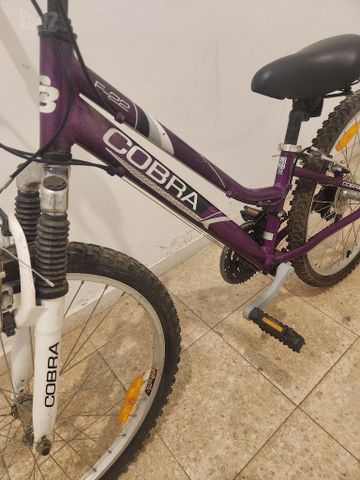 אופנים 24'