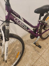 אופנים 24'