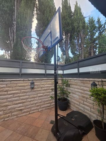 סל לגינה
