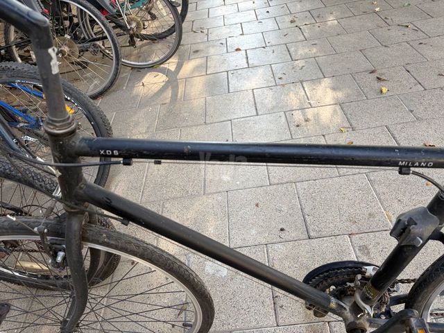אופניים