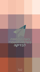 סלקל
