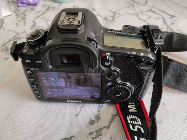 Canon mark 3 d5