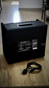 Fender LT25
