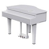 Roland GP-607