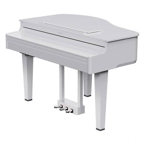 Roland GP-607