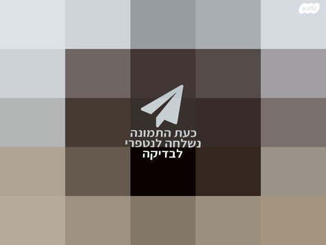 אורגן