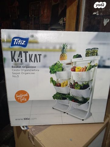 ארגונית