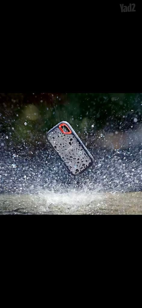 Sandisk