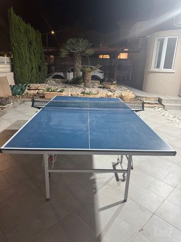 שולחן פינג פונג
