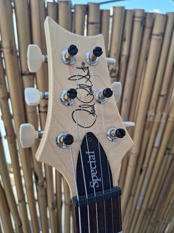 Prs Swamp ash special USA