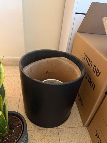 כד
