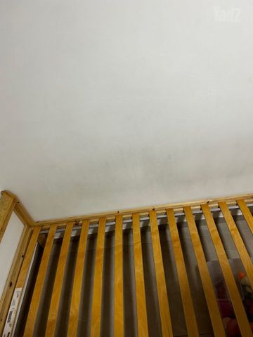 מיטה