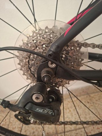 אופני כביש Specialized