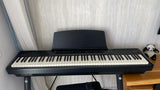 פסנטר חשמלי Pearl River