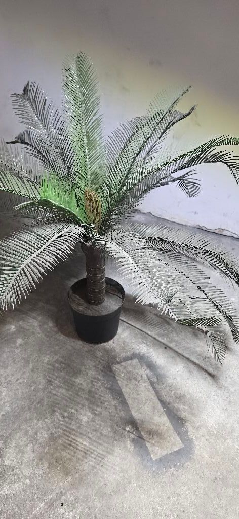 עציץ פלסטיק