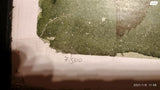בלה שקי 1988 חתום