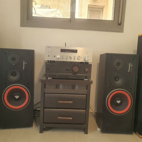 Cerwin vega LS10