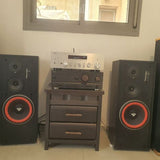 Cerwin vega LS10