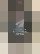 כסא לרכב