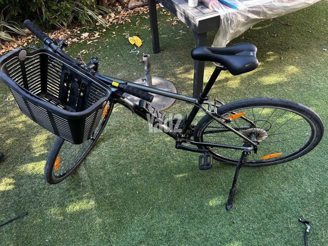 אופני giant escape disc
