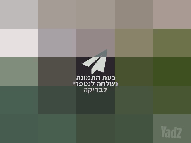 דונה X ואיזופיקס תואם