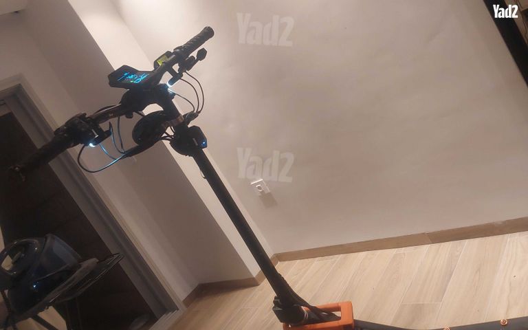 נאמי קלימה