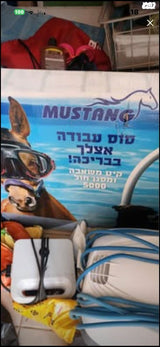 בריכה bestway