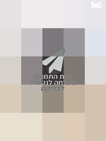 תיק מקורי דונה