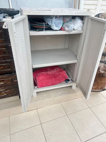 ארון גינה