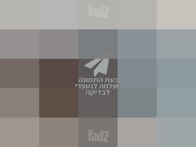 מצלמת קנון   175 IXUS