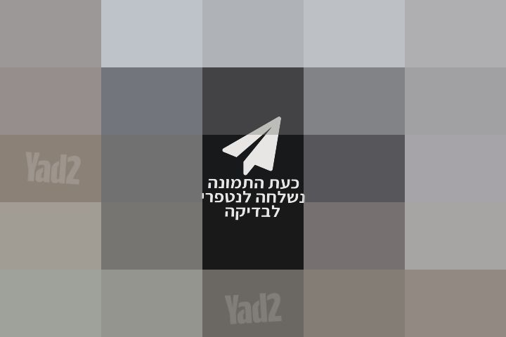 עגלת בוגבו B6