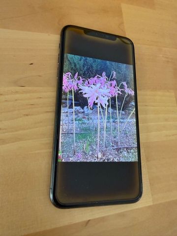 iPhone 11 Pro Max | 512GB