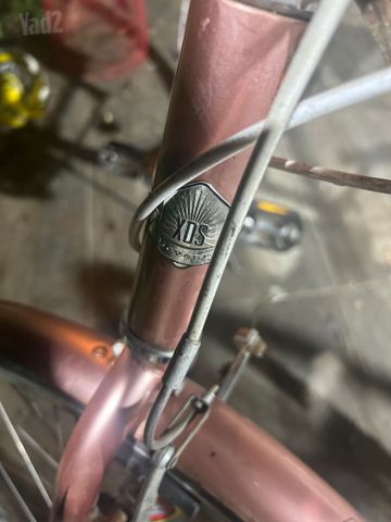 אופני DXL מידה 29