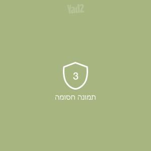 NINTENDO נינטנדו ds xl