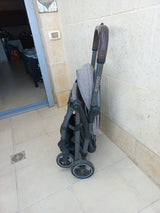 טיולון
