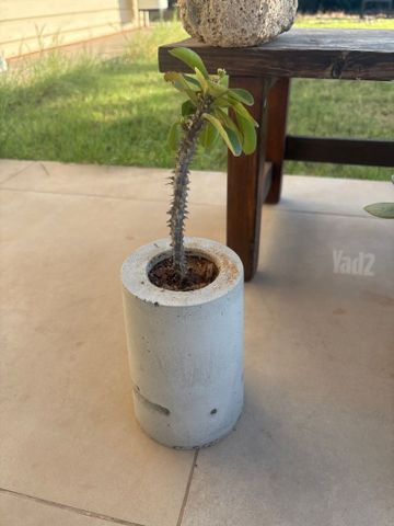 עציצים עבודת יד