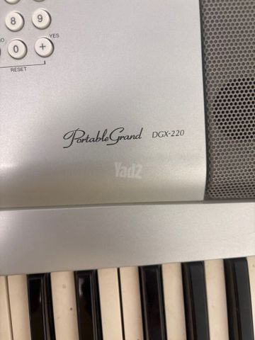 אורגן  yamaha