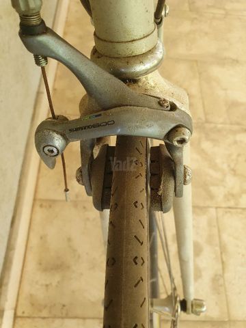 אופני מרוץ