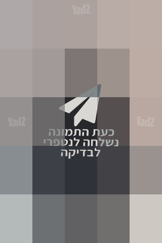 עגלת דונה פלוס