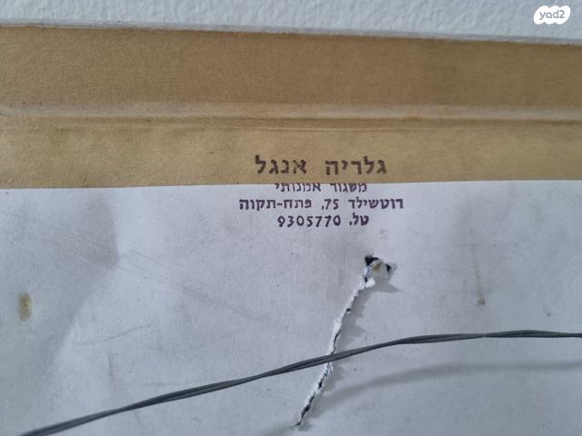 תמונה