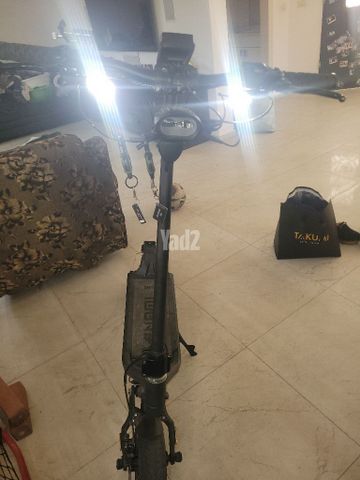 נאמי קלימה