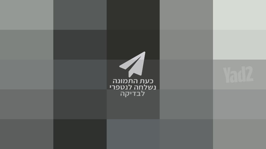 בוקסה מקצועית