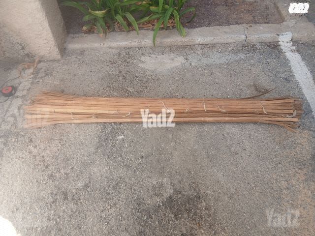סכך סוכה 3.1 על  1.6