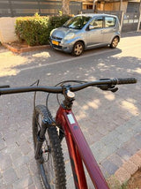 HARO DOUBLEPEAK COMP 29” L