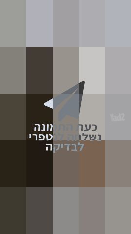 פאה