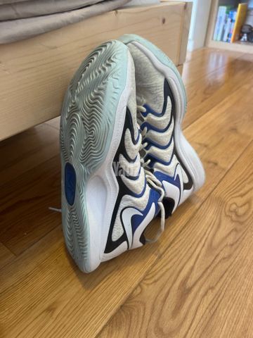 Kd 17 size 45.5