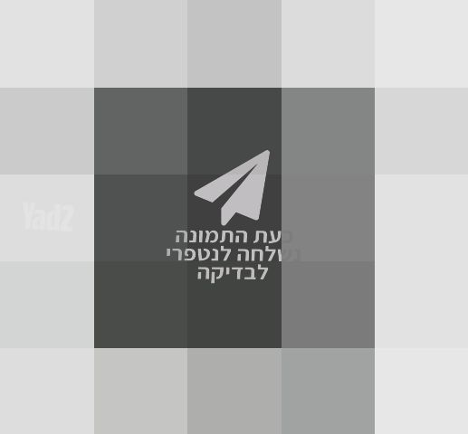 גריל גז
