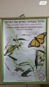 2 פוסטרים למידה/הדרכה למדעים