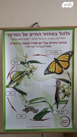 2 פוסטרים למידה/הדרכה למדעים
